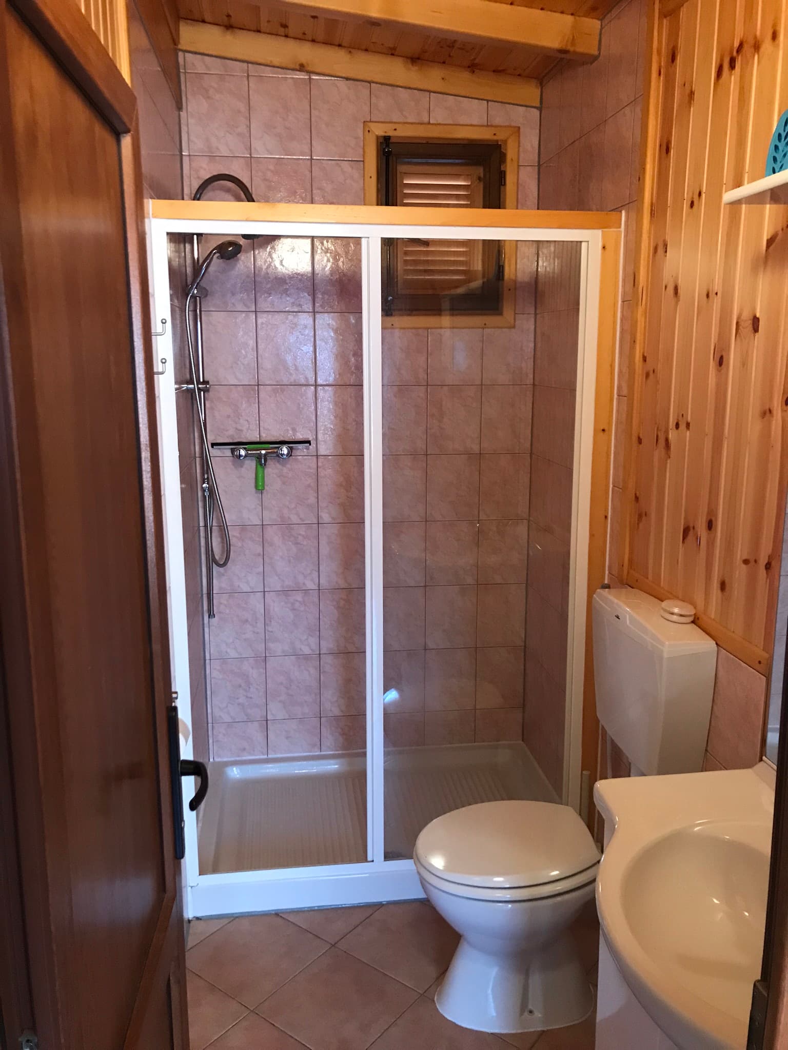 Badkamer met douche en toilet